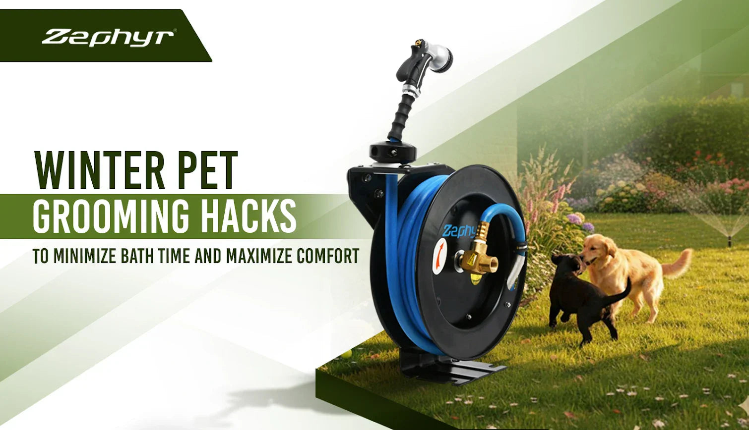 5 Winter Pet Grooming Hacks to Minimize Bath Time and Maximize Comfort