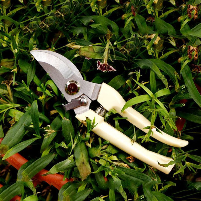 Garden Tools Stainless Steel Pruning Shears Fruit Tree Scissors Garden Branch Shears(Elbow)