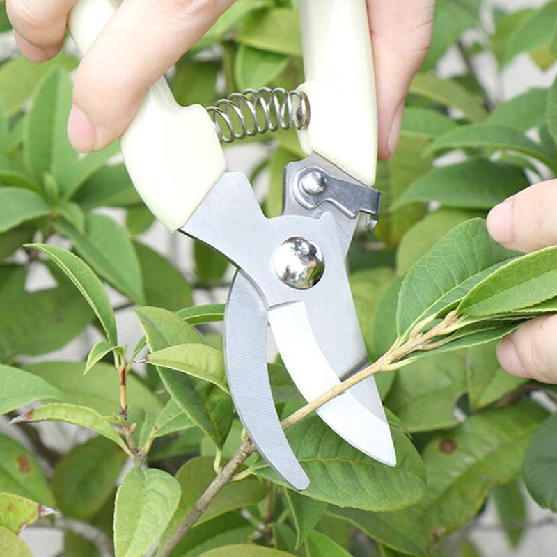 Garden Tools Stainless Steel Pruning Shears Fruit Tree Scissors Garden Branch Shears(Elbow)