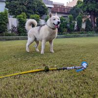 Zephyr Pet Bath Hose for Home Grooming with 9-mode Shower Nozzle, Pet Shower Pipe for Dogs & Cats, Leak Proof (19 mm x 5 Mtr) thumbnail