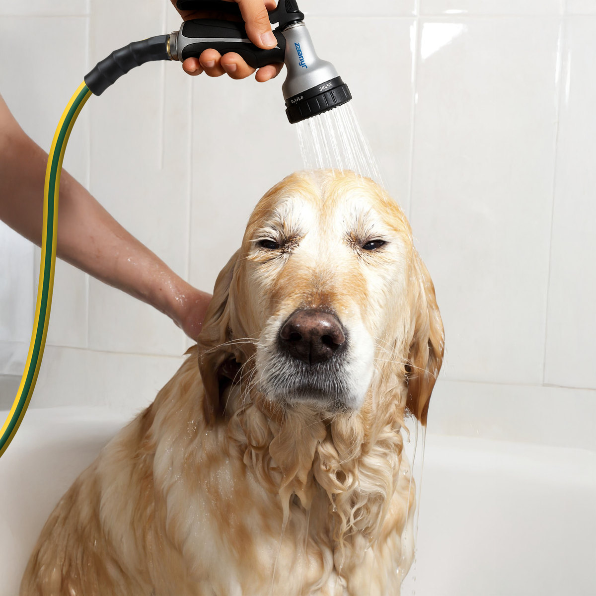 Zephyr Pet Bath Hose for Home Grooming with 9-mode Shower Nozzle Pet Shower Pipe for Dogs & Cats Leak Proof (19 mm x 8