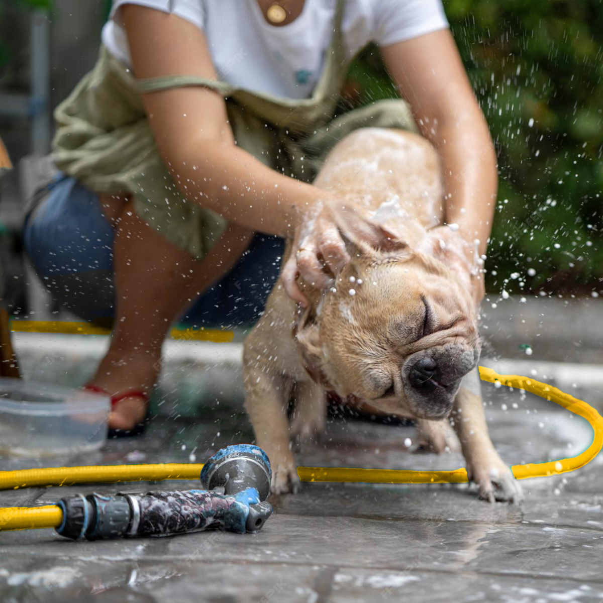 Zephyr All in One PET Wash Bundle with Hose 9-Mode Shower Nozzle & Hose Hanger for Home & Balcony (13mm x 15M) Pet Wash