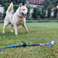 Test Product pet thumbnail