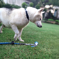 Zephyr Pet Wash Recoil Hose 10mm X 10Mtr With 8 Pattern Push Button Cyclone Nozzle thumbnail