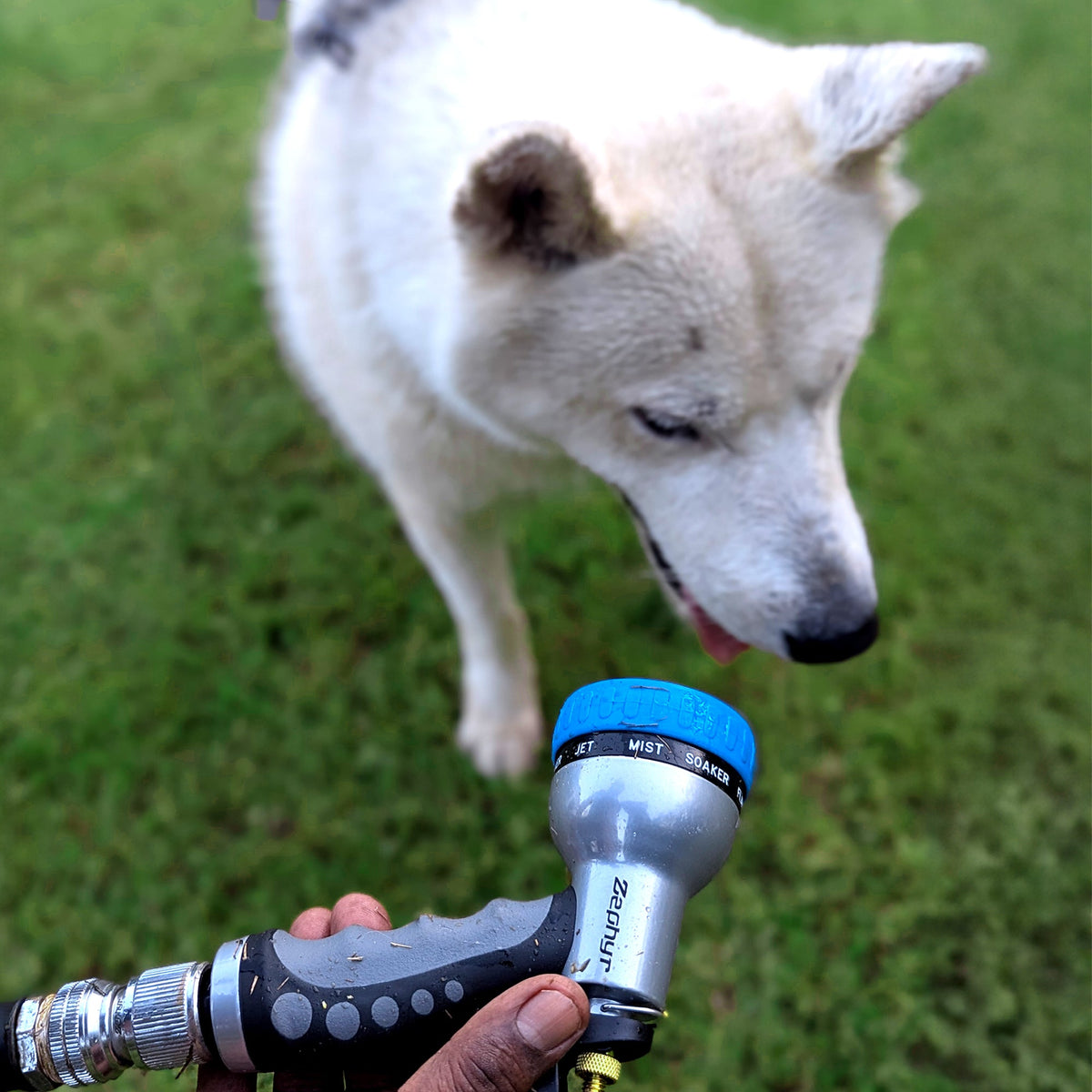 Zephyr Lightweight Pet Wash Recoil Hose with 9-Mode Spray Nozzle for Pet Bath & Balcony Use (10 mm × 15 M) Compact