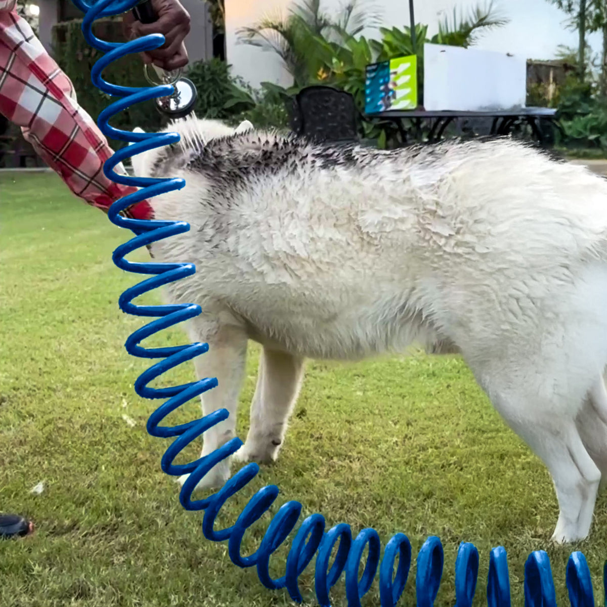 Zephyr Pet Wash Recoil Hose with Soft Spray GentleFlow Gun (10 mm × 8 M) Compact Recoil Hoses