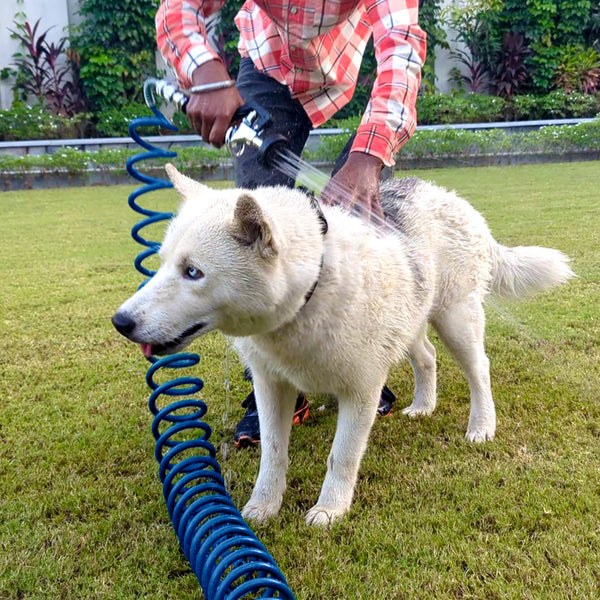 Zephyr Pet Wash Recoil Hose with Soft Spray GentleFlow Gun (10 mm × 8 M) Compact Recoil Hoses