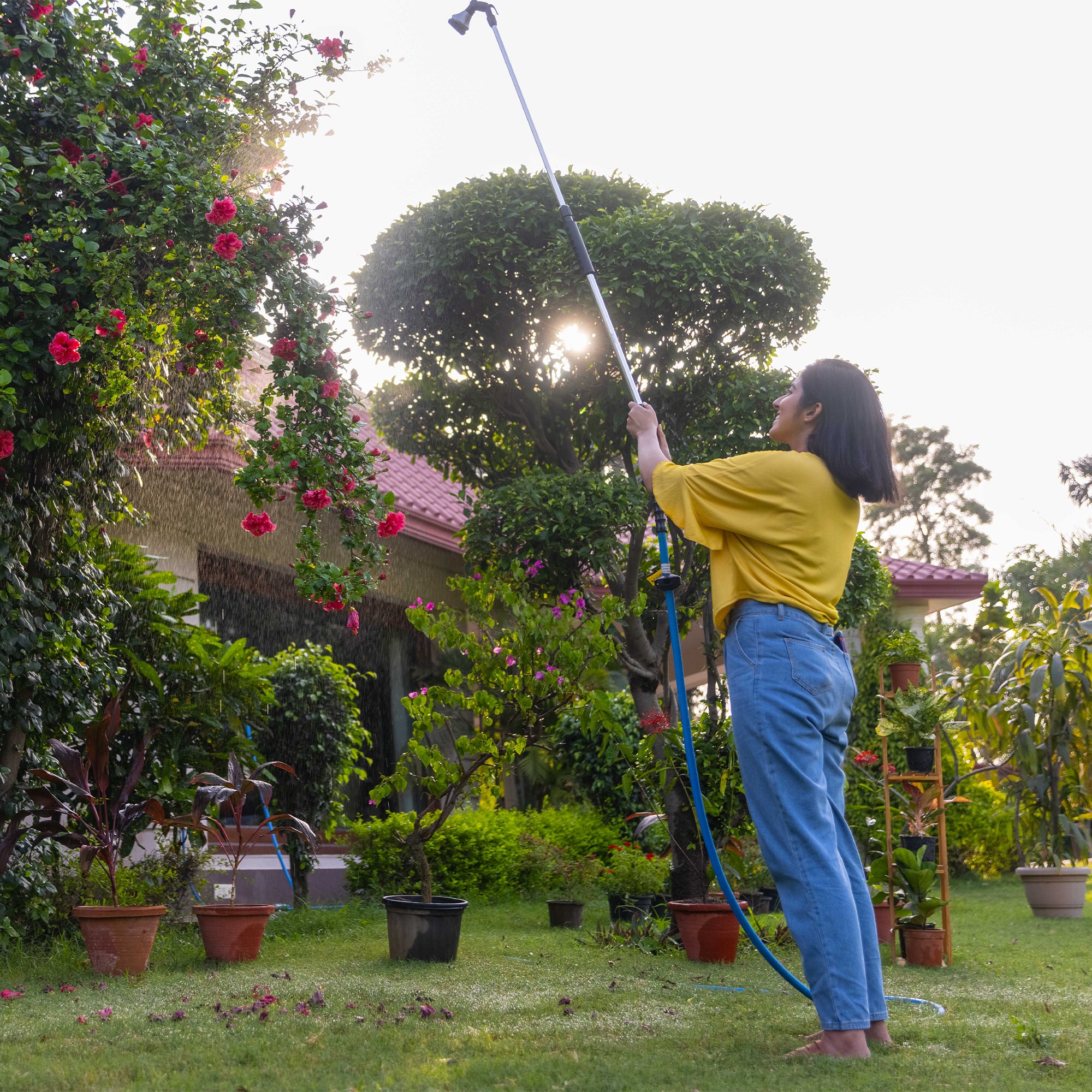 Zephyr 8-Mode Telescopic Water Wand For Garden And Washing - With Ergoflow & Adjustable Length