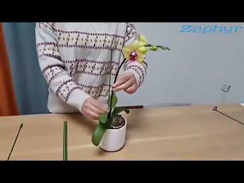 Plant Potted Flower Shape Support Rods Video